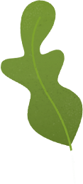 Leaf1 1