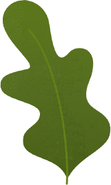 Leaf2 1